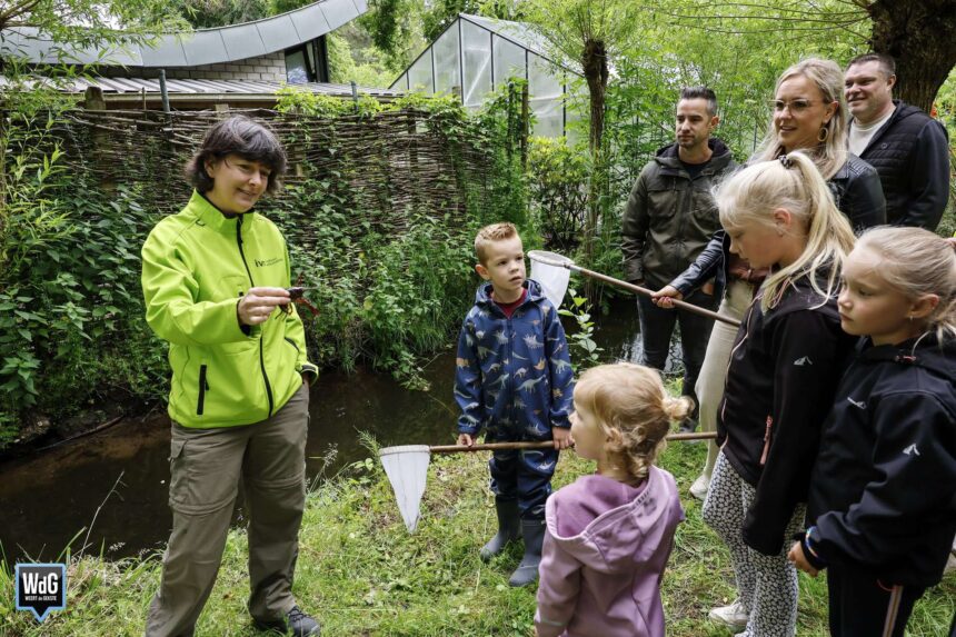 Kinderen observeren waterdiertjes tijdens IVN Slootjesdag