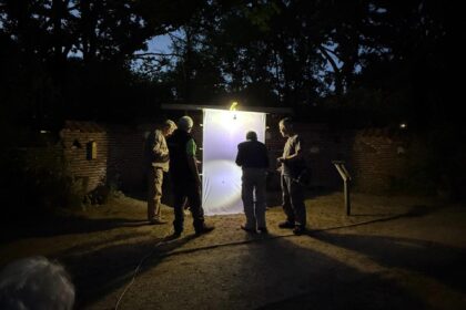 Nachtvlinders spotten tijdens nachtvlinderavond van het IVN Weert e.o.