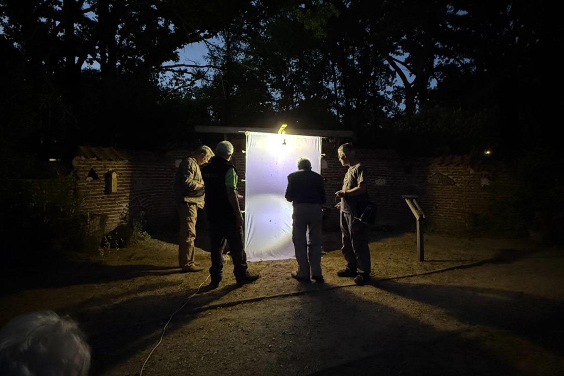 Nachtvlinders spotten tijdens nachtvlinderavond van het IVN Weert e.o.