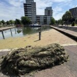 Passantenhaven in Weert