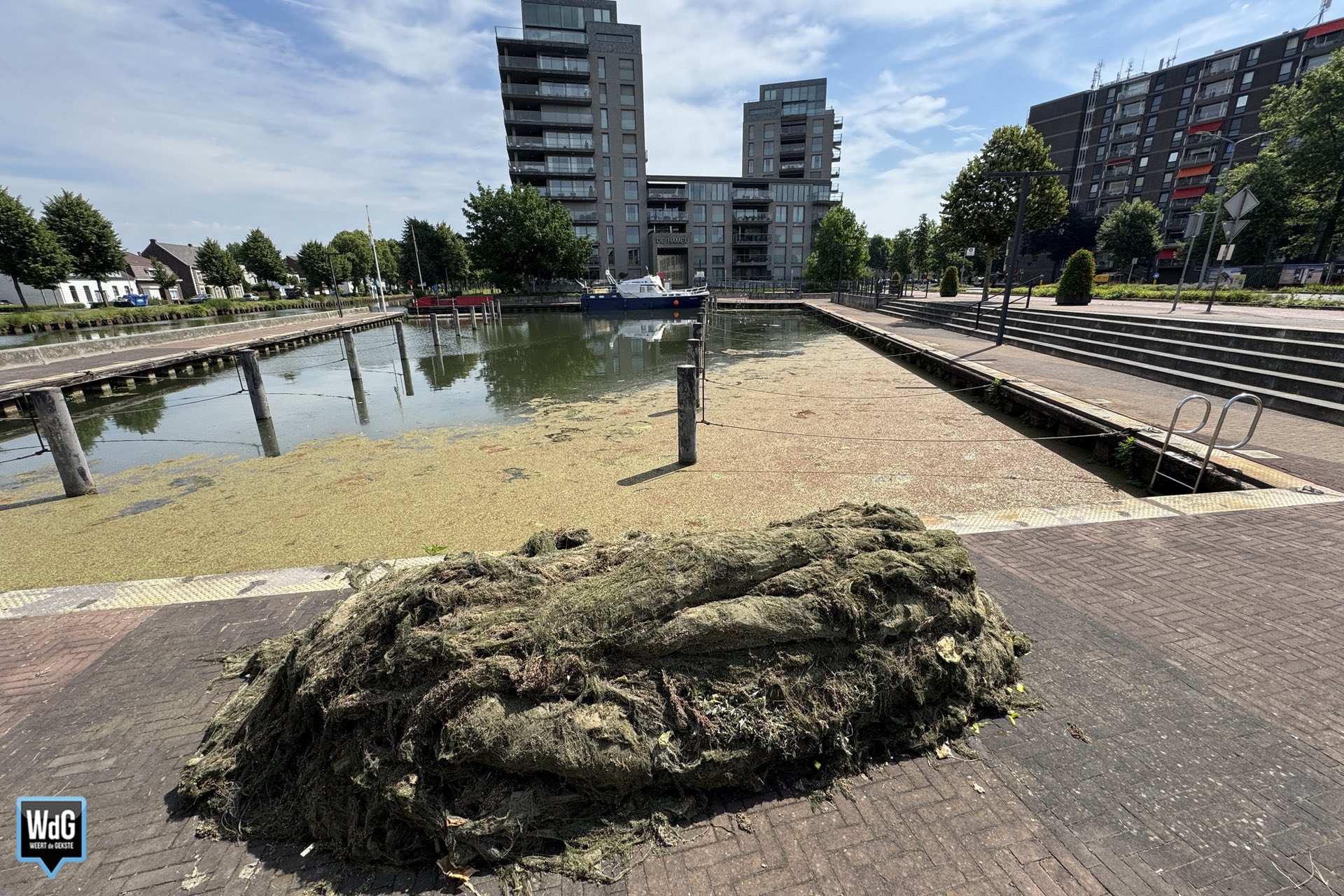 Gemeente Weert pakt passantenhaven aan na meldingen over waterplanten