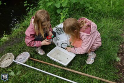 Kinderen speuren in de natuur van de IJzeren Man in Weert