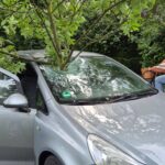 Afgebroken tak slaat door voorruit van auto in Budel
