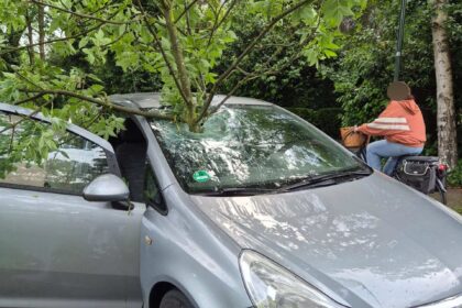 Afgebroken tak slaat door voorruit van auto in Budel