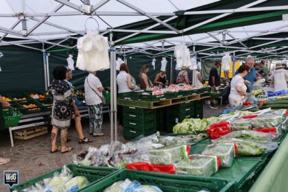 Warme weekmarkt in beeld