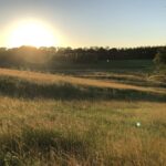 Zomeravond in Weert