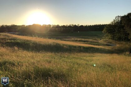 Zomeravond in Weert