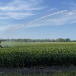 Beregening van akker in Weert
