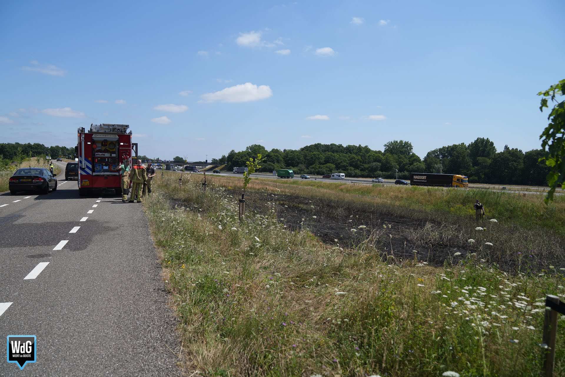 Brandweer dooft bermbrand aan Dr. Anton Philipsweg