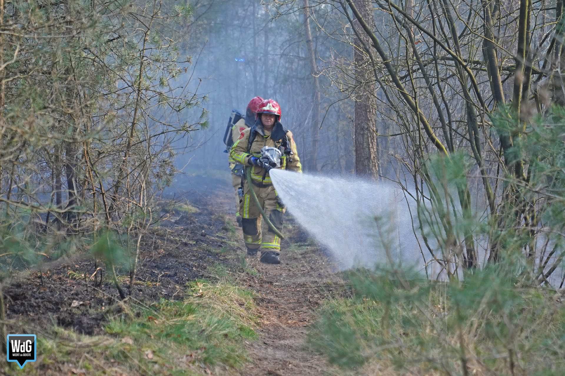 Gemeentes Cranendonck en Nederweert organiseren informatieavond over natuurbrandmanagement Hugterheide - Weerterbos. Archieffoto