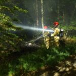 Brandweer rukt uit voor bosbrand in Maarheeze