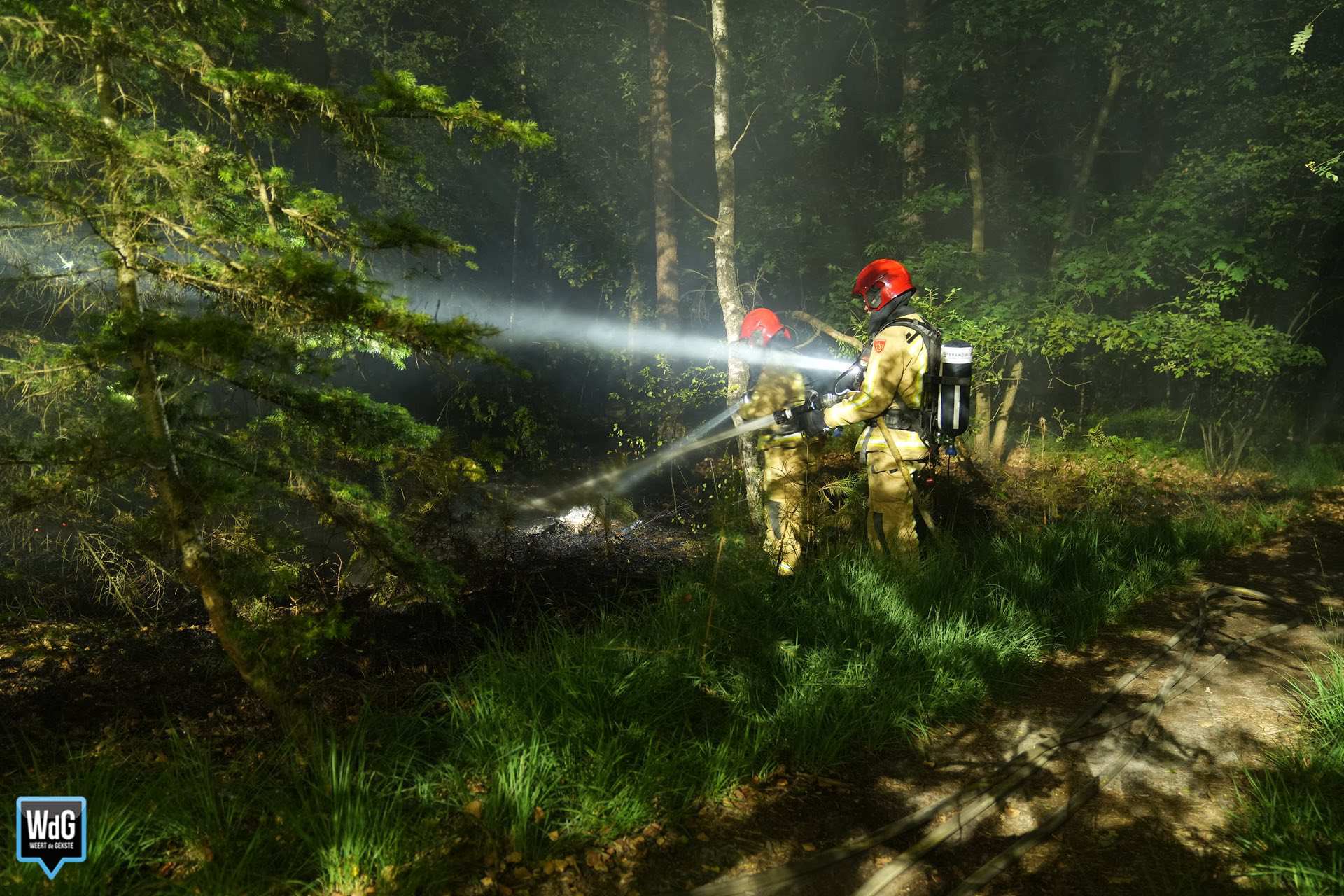 Brandweer rukt uit voor bosbrand in Maarheeze