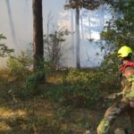 Brandweer rukt uit voor bosbrand in Weerterbos