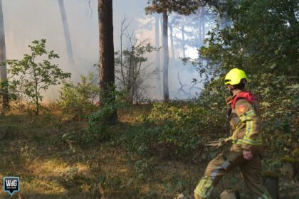 Brandweer rukt uit voor bosbrand in Weerterbos