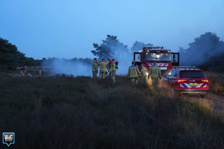 Natuurbrand op Boshoverheide snel onder controle