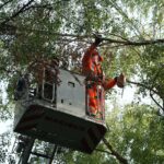 Brandweer verwijdert afgebroken dode tak in Budel-Dorplein