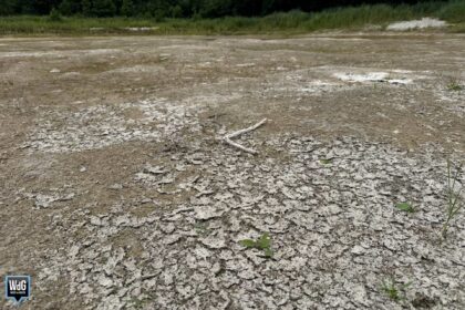 Droogte in de natuur