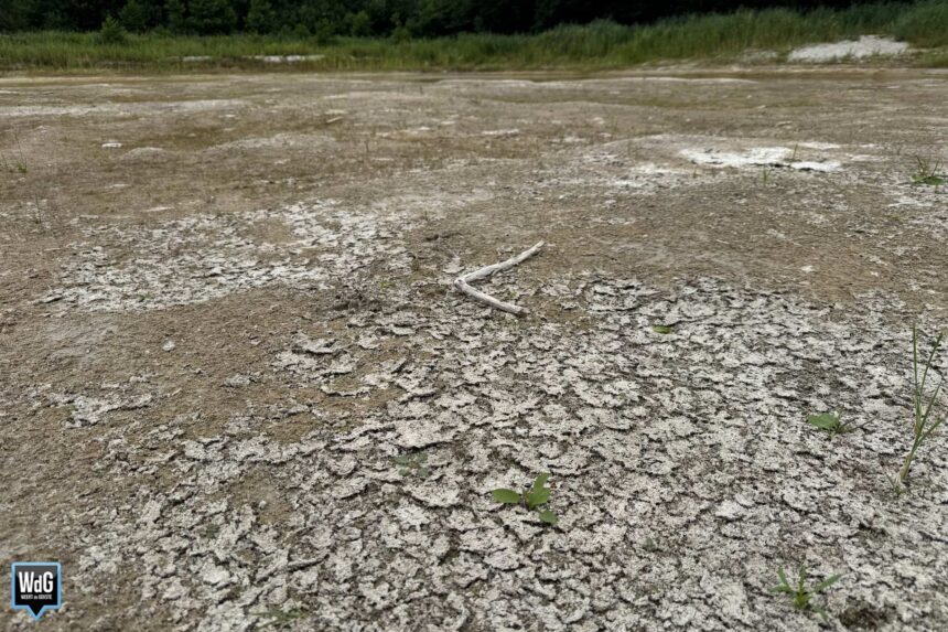 Droogte in de natuur