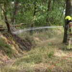 Natuurbrandje aan de Heltenbosdijk snel onder controle