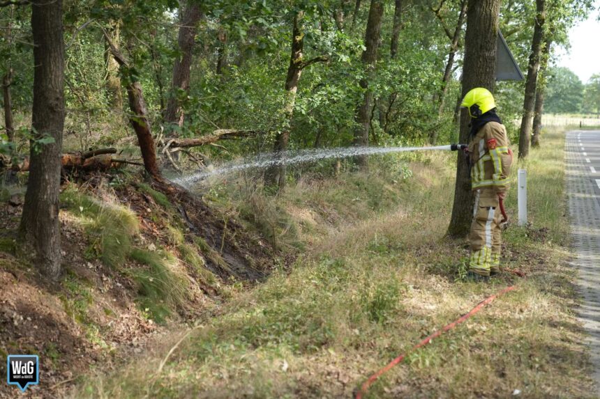Natuurbrandje aan de Heltenbosdijk snel onder controle