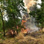 Vuurwerkresten gevonden na natuurbrand aan Schoordijk in Weert