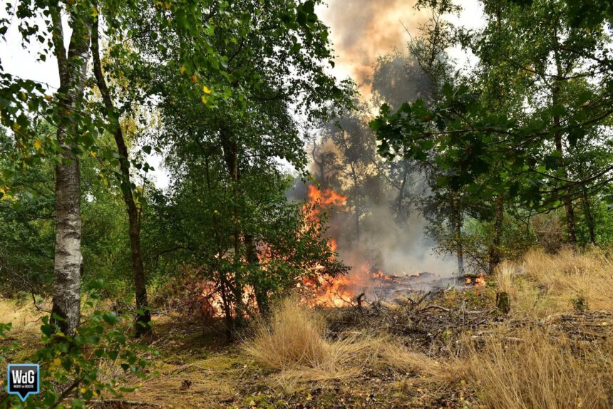 Vuurwerkresten gevonden na natuurbrand aan Schoordijk in Weert