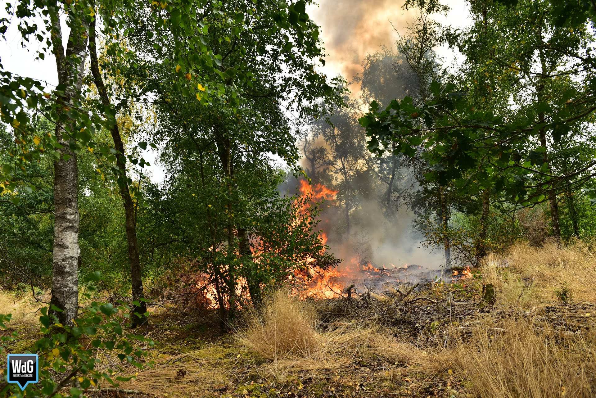 Vuurwerkresten gevonden na natuurbrand aan Schoordijk in Weert