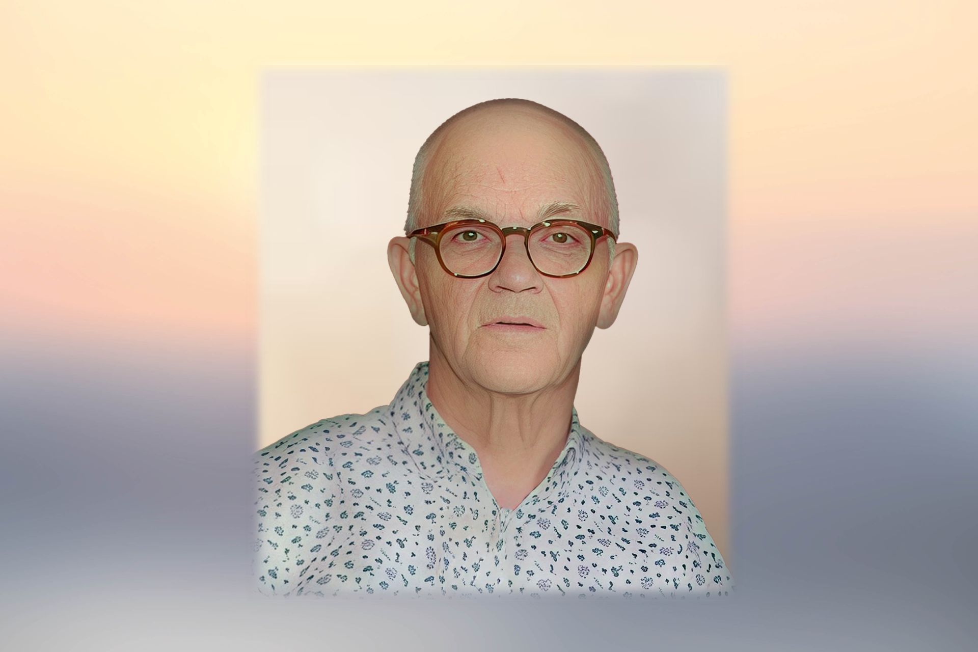 Wiel Driessen