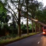 Gevaarlijke tak boven fietspad Kazernelaan verwijderd door brandweer