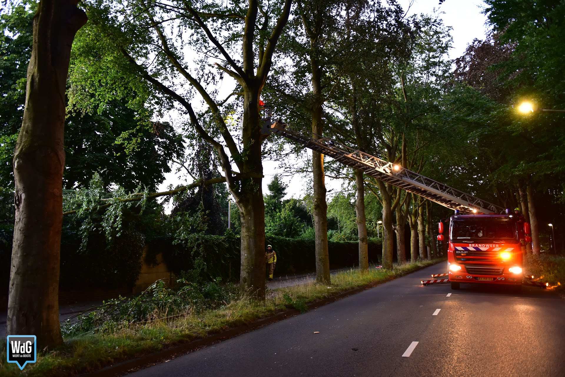 Gevaarlijke tak boven fietspad Kazernelaan verwijderd door brandweer