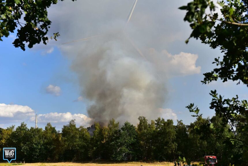 Opnieuw grote bosbrand aan Schoordijk in Weert