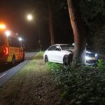 Auto tegen boom na uitwijkmanoeuvre voor ree in Maarheeze