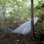 De brandweer in Weert had het brandje in de berm aan de Doctor Schaepmanstraat snel onder controle.