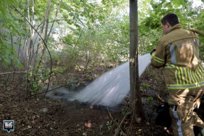 De brandweer in Weert had het brandje in de berm aan de Doctor Schaepmanstraat snel onder controle.