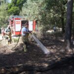 Opnieuw brandweerinzet op locatie van eerdere bosbrand Weerterbos