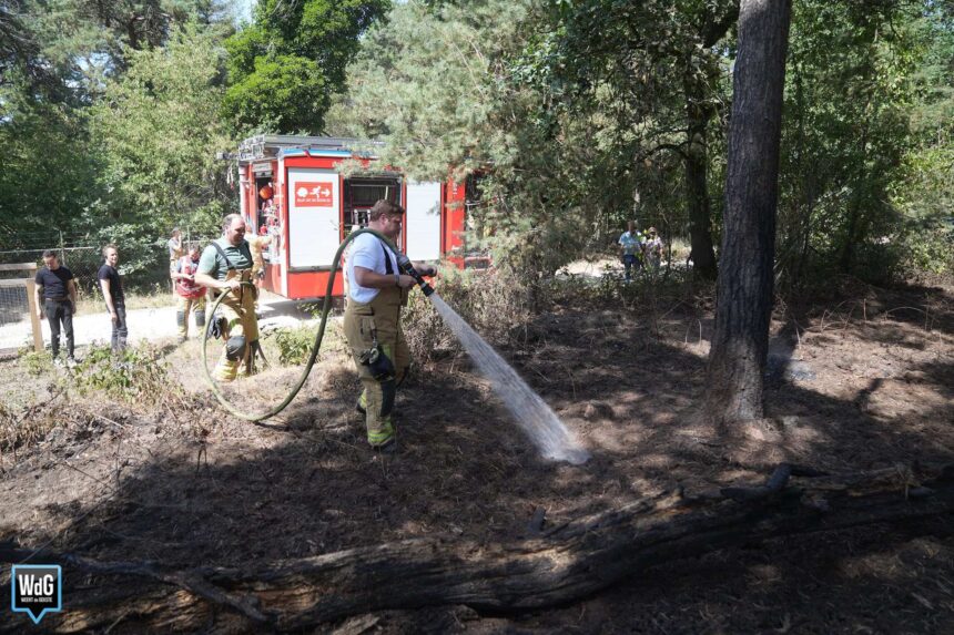 Opnieuw brandweerinzet op locatie van eerdere bosbrand Weerterbos