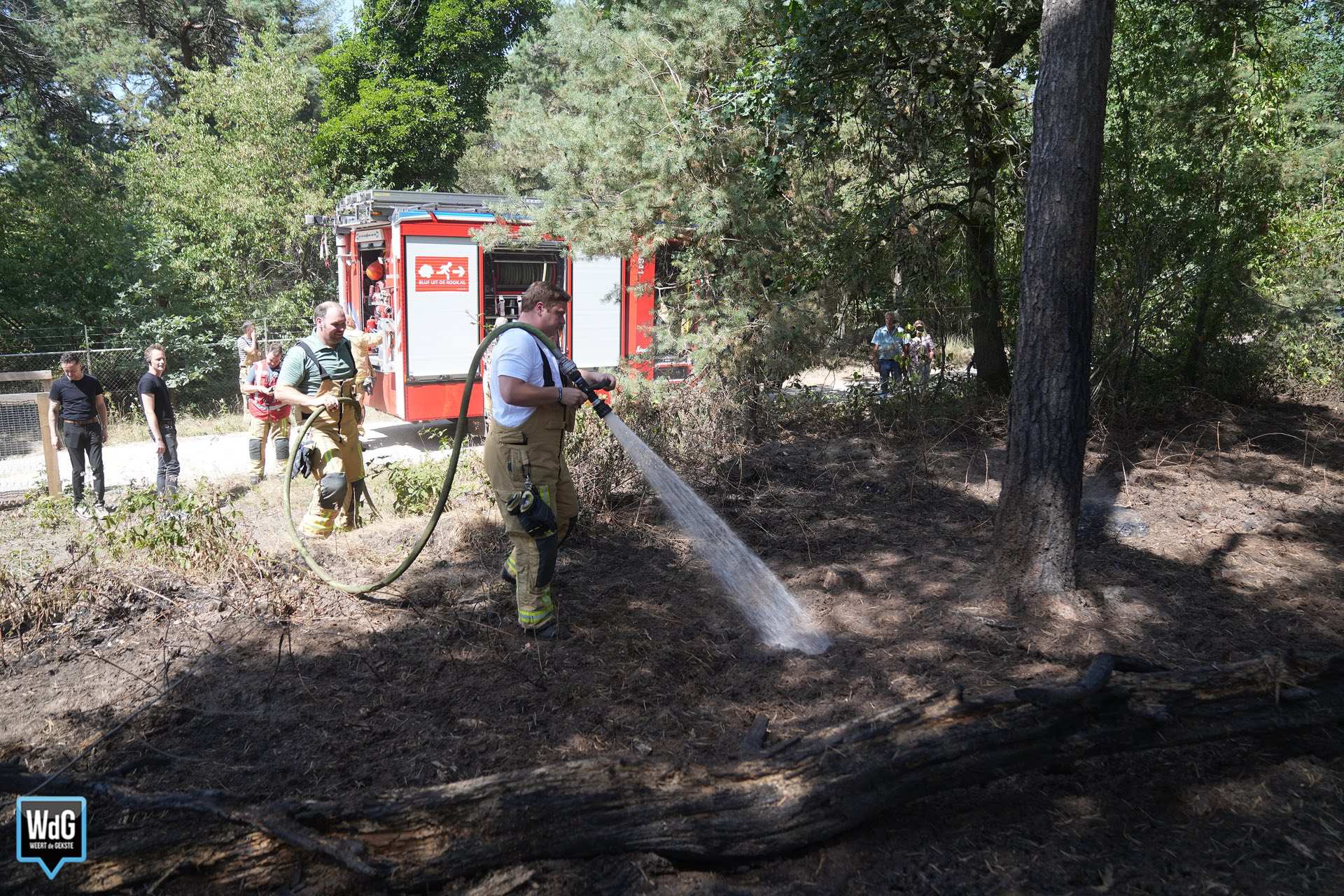 Opnieuw brandweerinzet op locatie van eerdere bosbrand Weerterbos