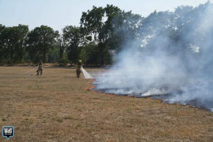 Brand op grasveld in Ell trekt richting bomenrij, strobalen en loods