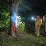 Brandweer geplaagd door hoornaars bij blussen brandende boom