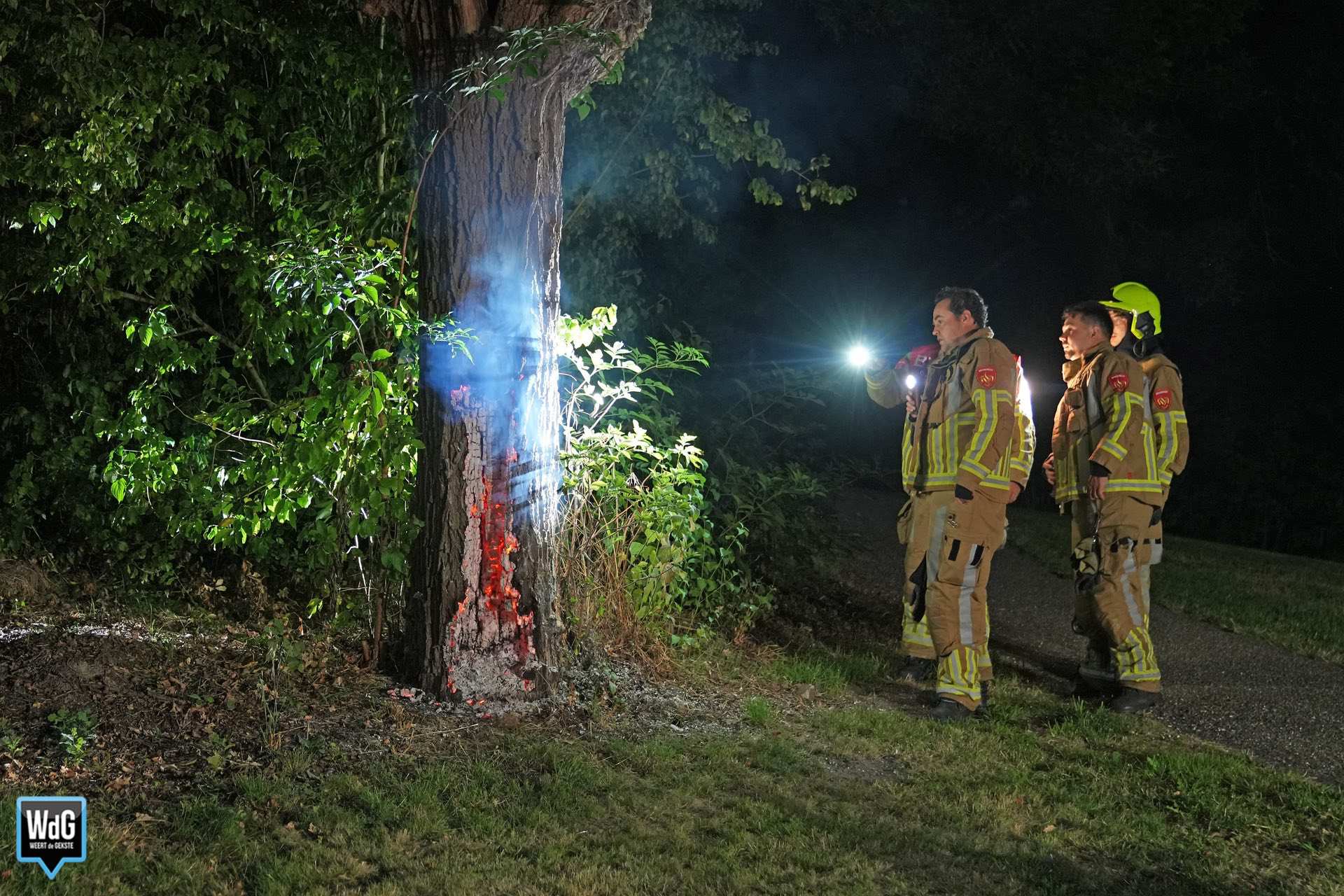 Brandweer geplaagd door hoornaars bij blussen brandende boom