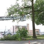 Brandweer verwijdert afgebroken tak op Graafschap Hornelaan