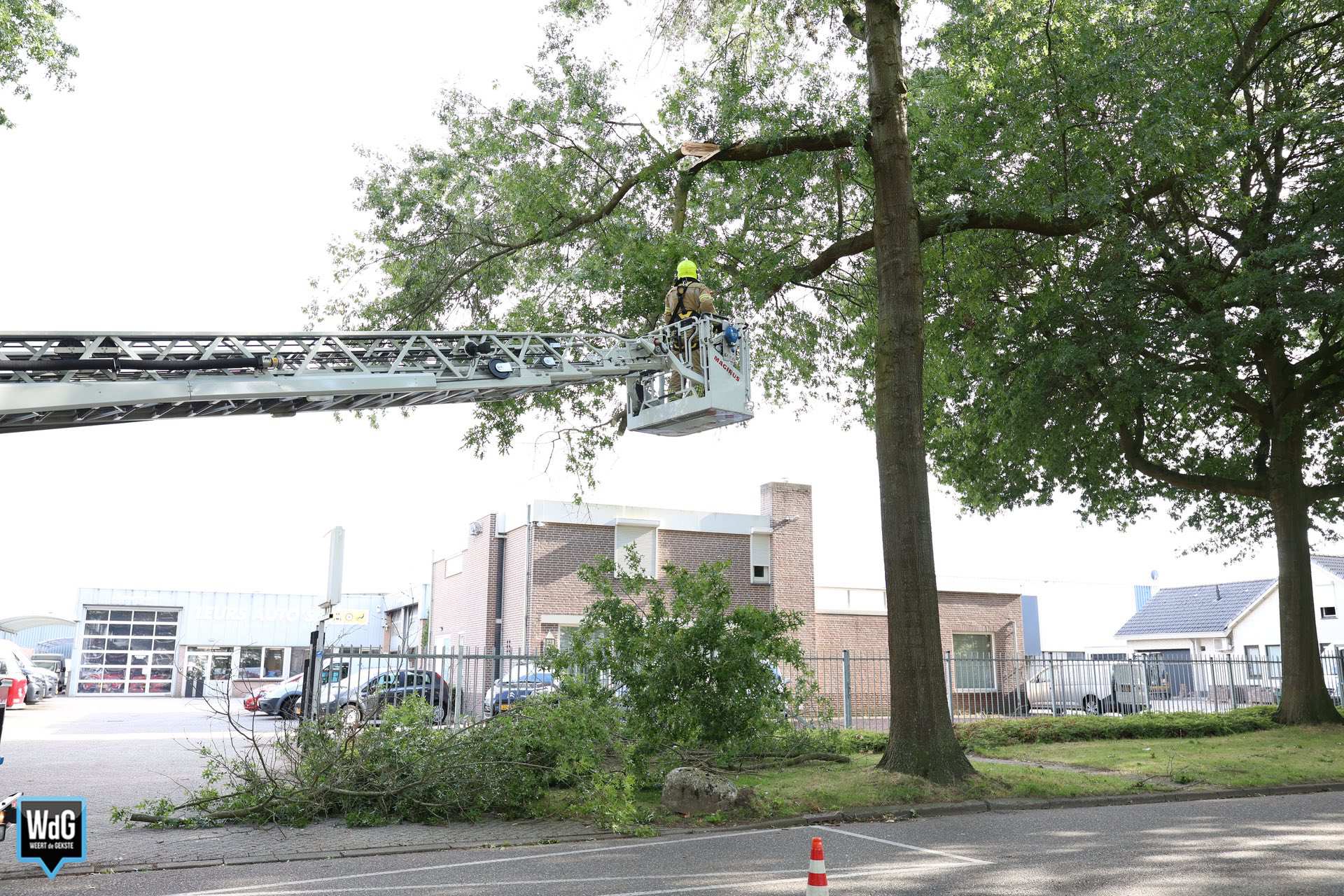 Brandweer verwijdert afgebroken tak op Graafschap Hornelaan