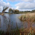 Natuurgebied De Banen bij Nederweert-Eind. Ingestuurde foto