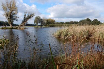 Natuurgebied De Banen bij Nederweert-Eind. Ingestuurde foto
