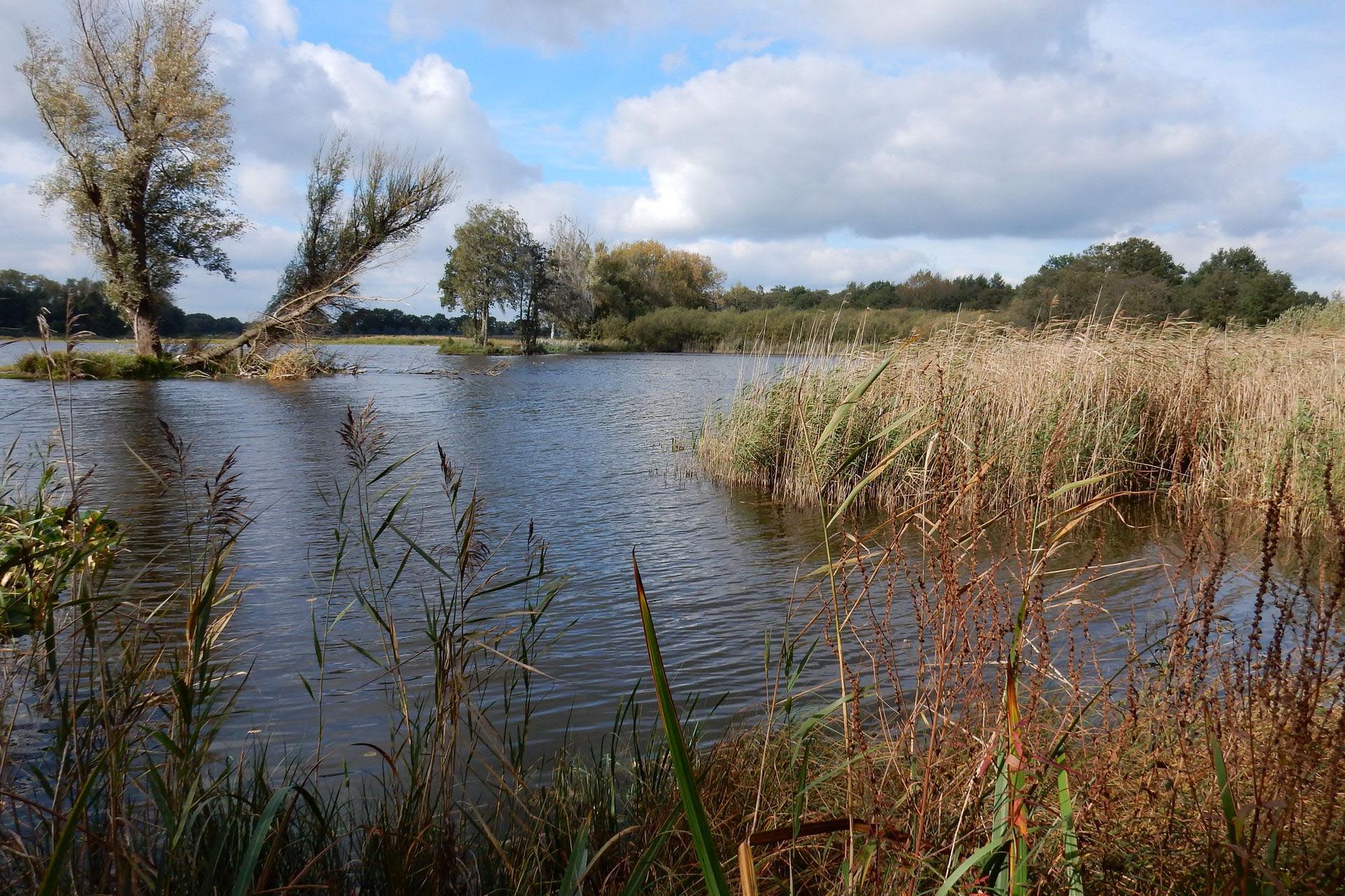 IVN Weert e.o. organiseert wandeling door De Banen
