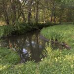 Natuurgebied De IJzeren Man, Kempen-Broek. Archieffoto