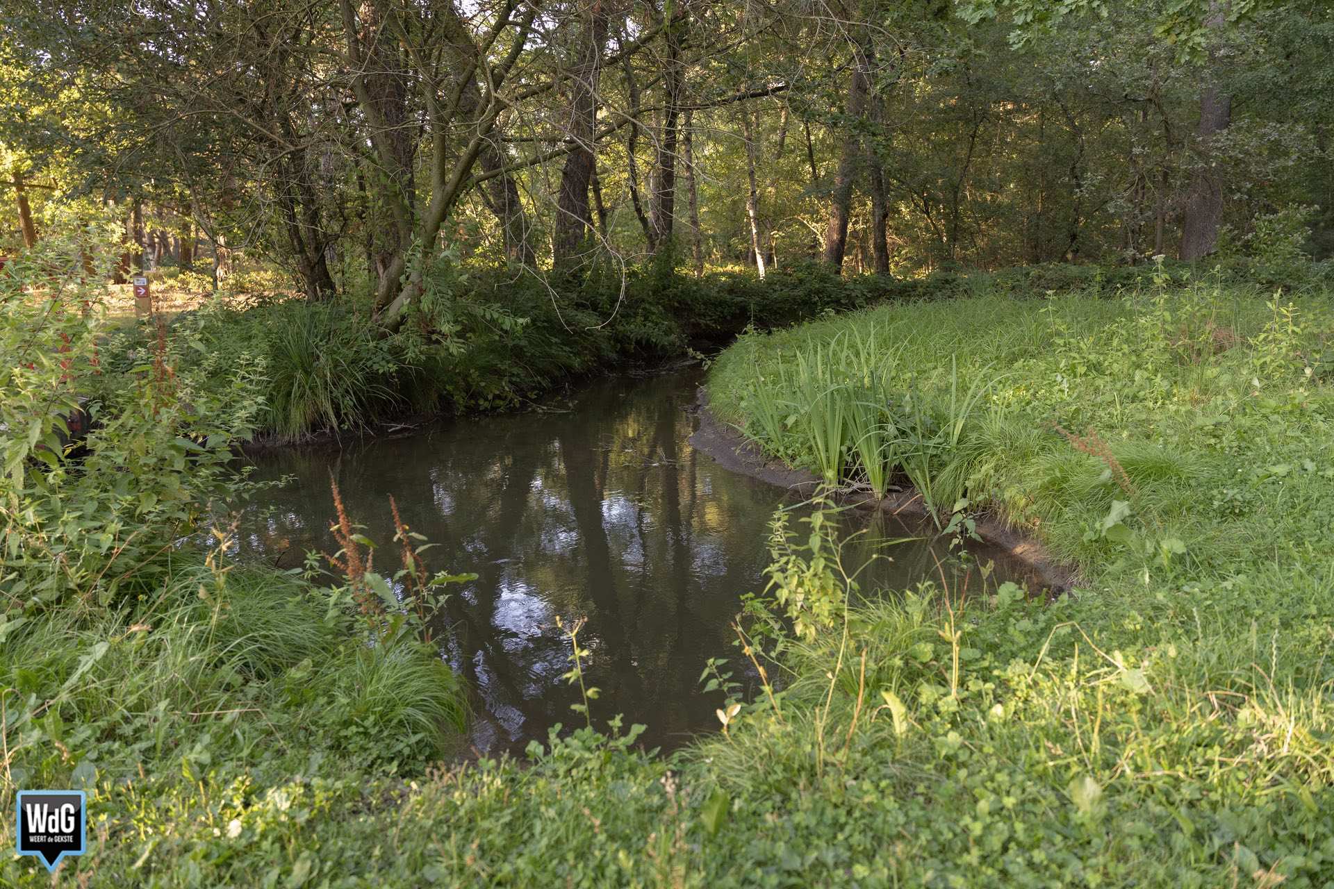 Natuurgebied De IJzeren Man, Kempen-Broek. Archieffoto