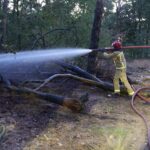 Brandweer rukt vroeg uit voor natuurbrand in Budel