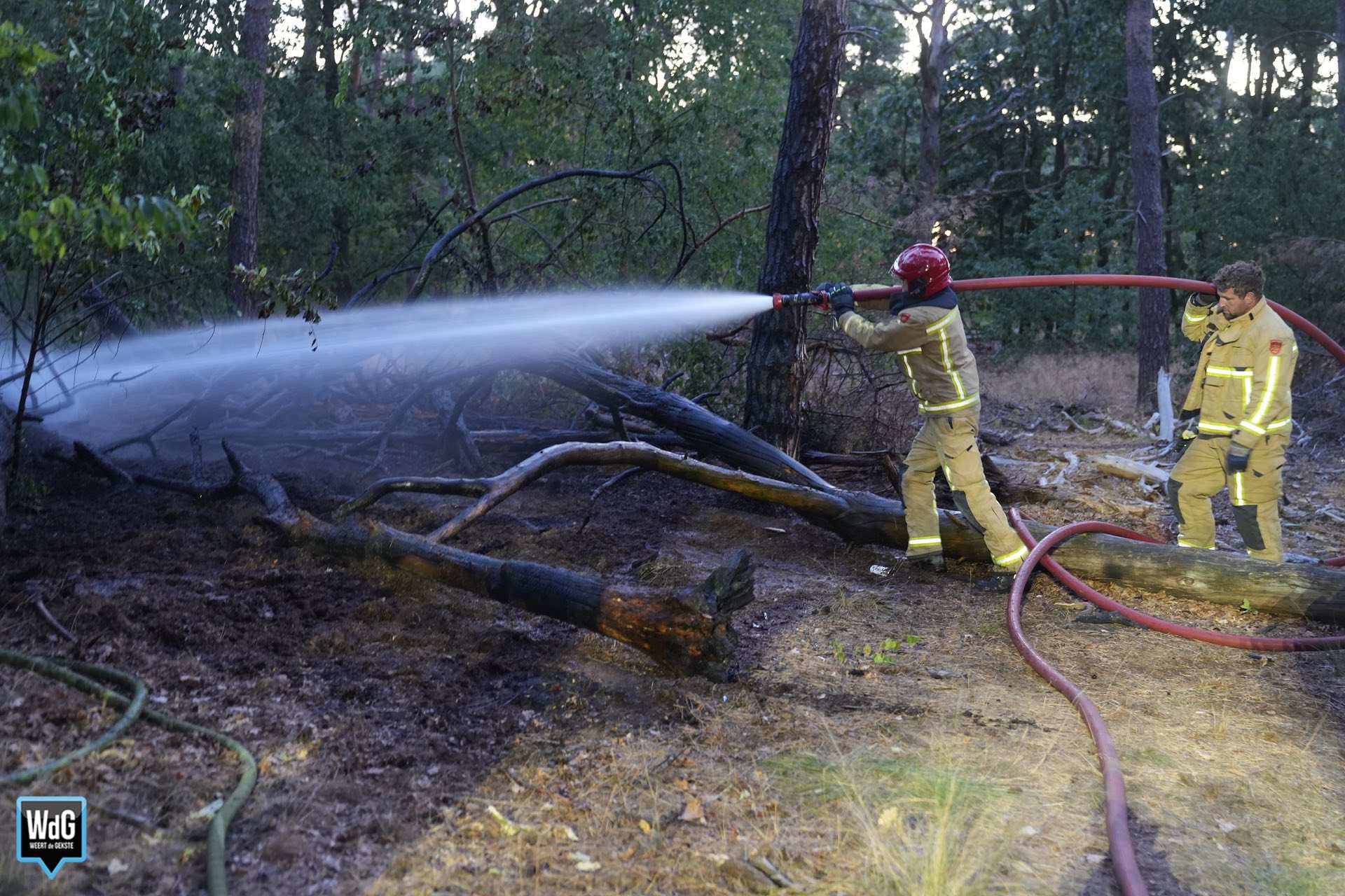 Brandweer rukt vroeg uit voor natuurbrand in Budel