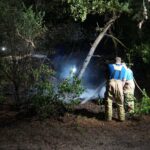 Brandweer dooft natuurbrand aan Randweg-Oost in Budel